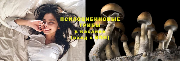 амф Армянск