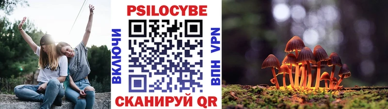 Галлюциногенные грибы Cubensis блэк спрут ССЫЛКА Урай
